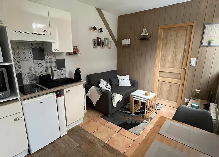 公寓 Maisonnette Cosy A Avec Terrasse Et Jardin - Fr-1-555-95