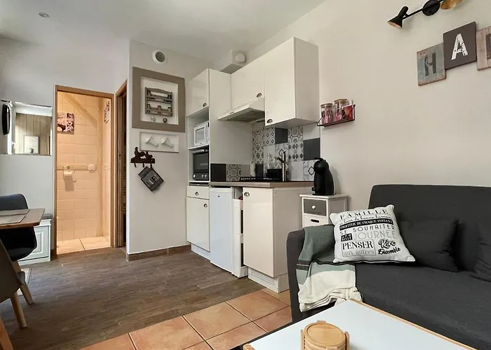 Maisonnette Cosy A Avec Terrasse Et Jardin - Fr-1-555-95 公寓